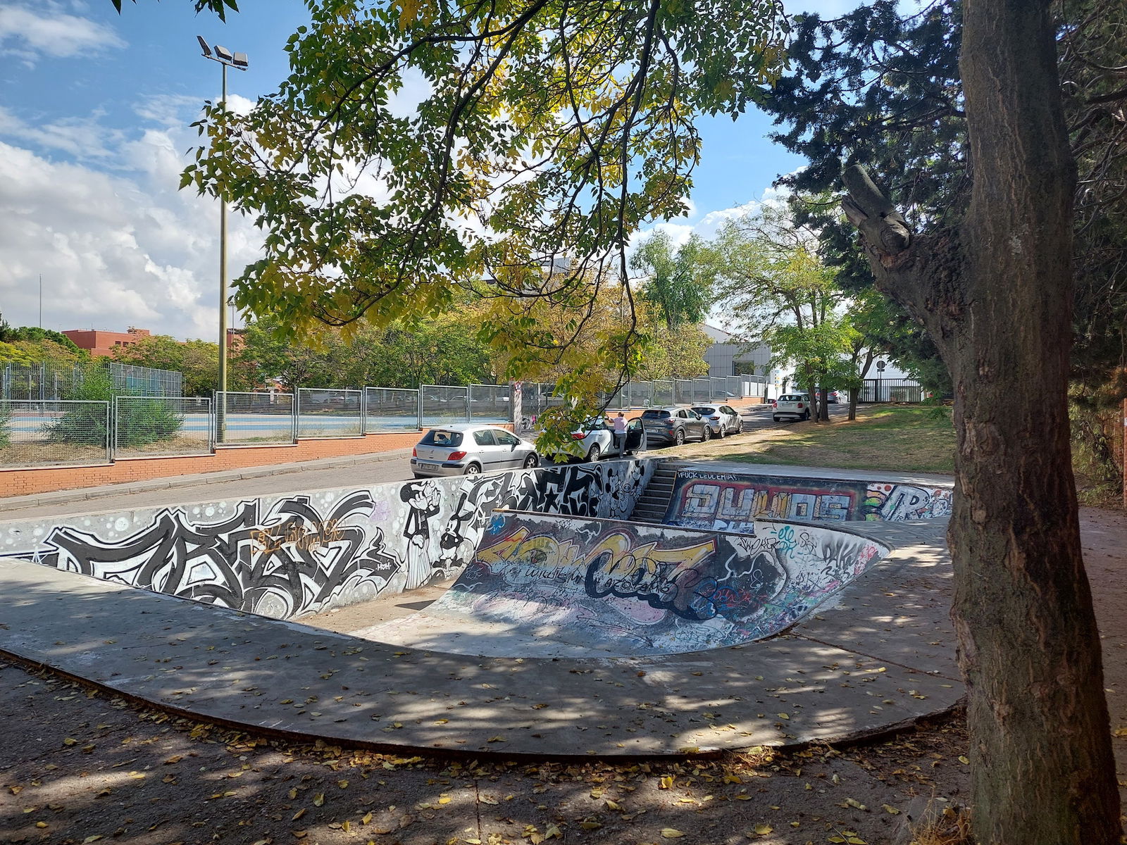 Suanzes skatepark
